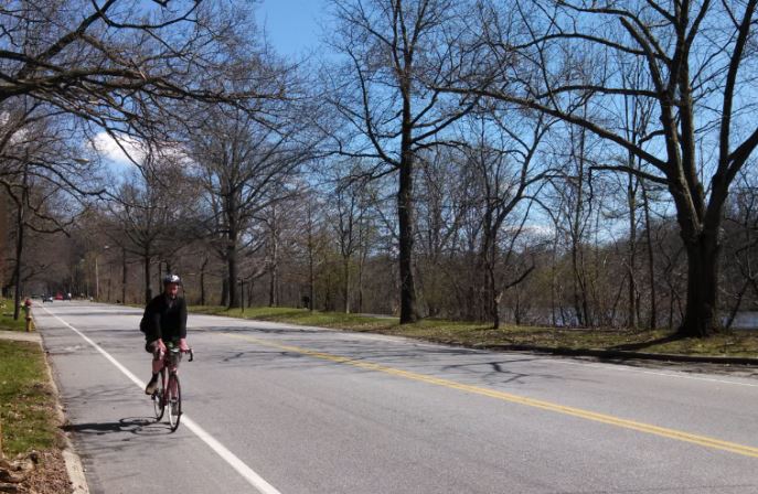 Bicyclist biking down road
