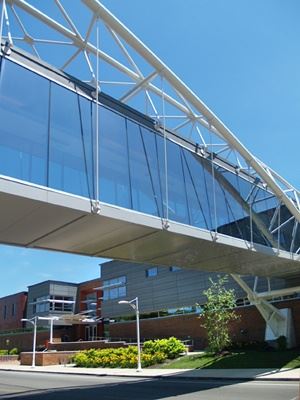 Outdoor Library Bridge Walk